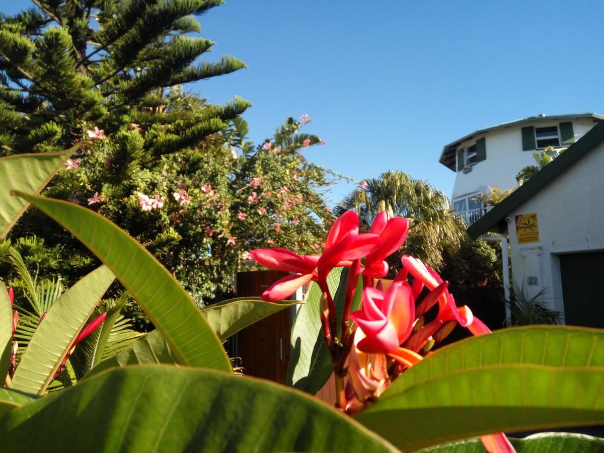 Cape Oasis Guesthouse Bloubergstrand Eksteriør bilde